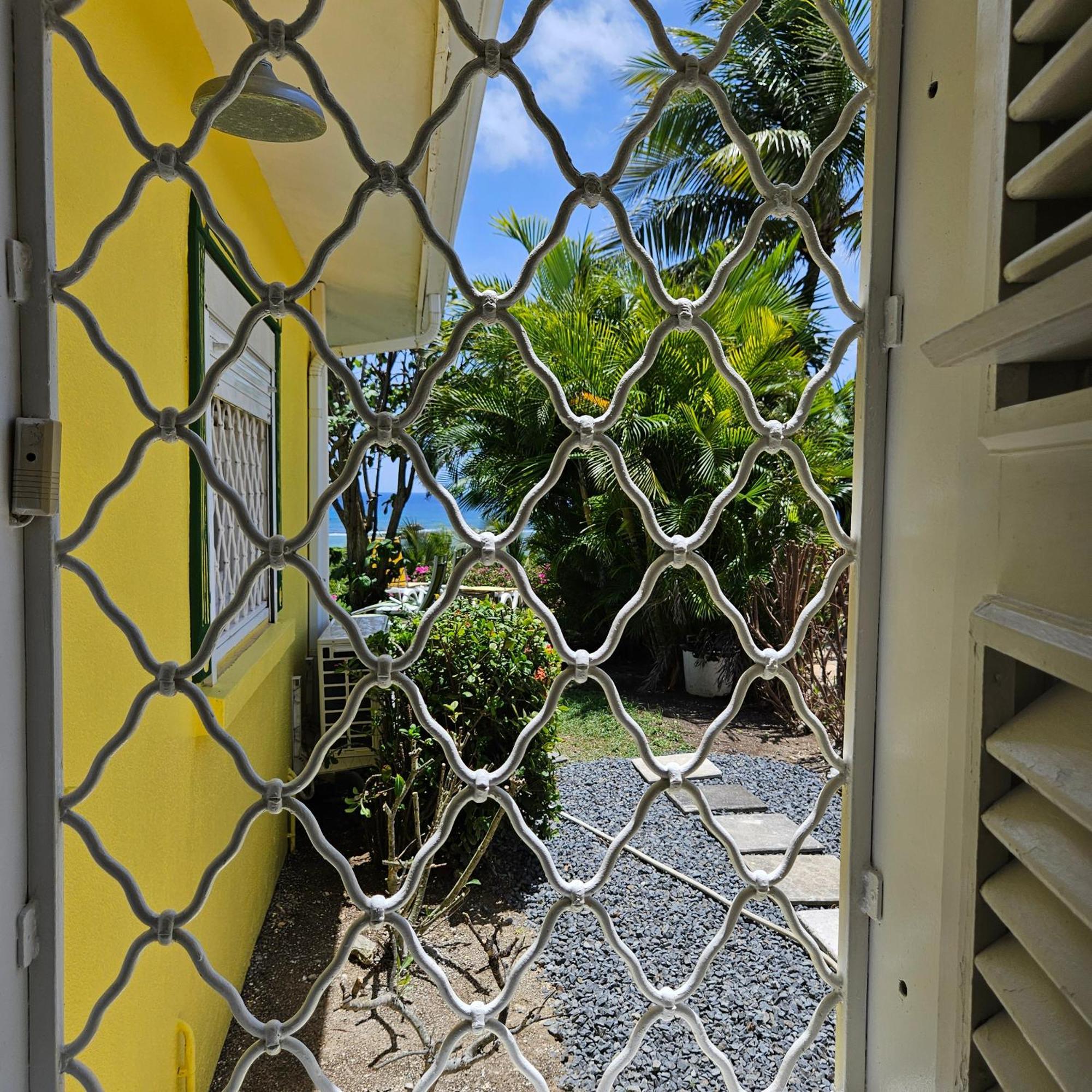 Villa Guadeloupe Saint Francois Acces Mer Piscine Iguana Bay - Villa Zagadi Ngoại thất bức ảnh
