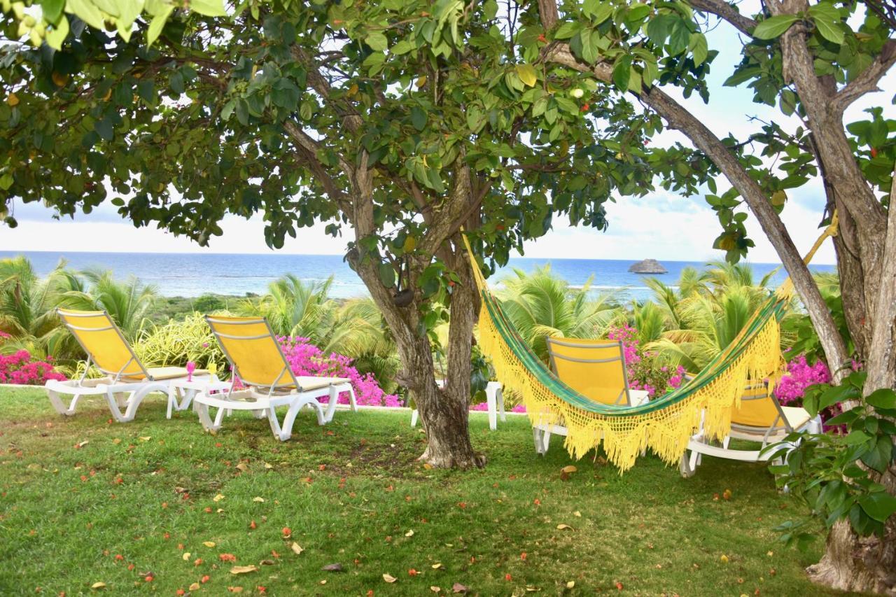 Villa Guadeloupe Saint Francois Acces Mer Piscine Iguana Bay - Villa Zagadi Ngoại thất bức ảnh