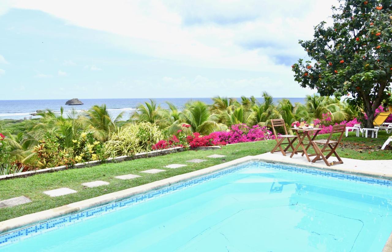 Villa Guadeloupe Saint Francois Acces Mer Piscine Iguana Bay - Villa Zagadi Ngoại thất bức ảnh