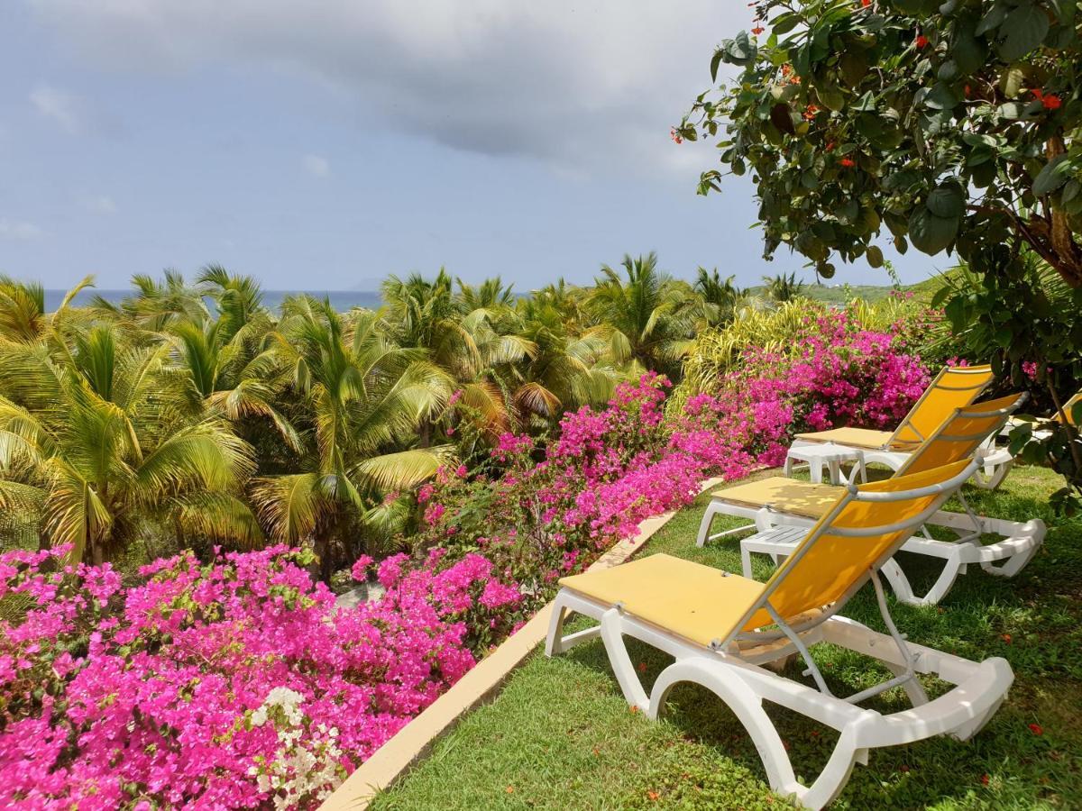 Villa Guadeloupe Saint Francois Acces Mer Piscine Iguana Bay - Villa Zagadi Ngoại thất bức ảnh