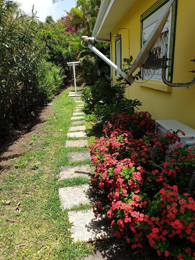 Villa Guadeloupe Saint Francois Acces Mer Piscine Iguana Bay - Villa Zagadi Ngoại thất bức ảnh
