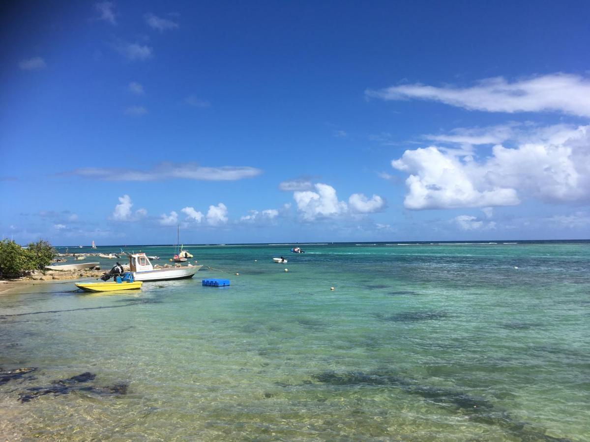 Villa Guadeloupe Saint Francois Acces Mer Piscine Iguana Bay - Villa Zagadi Ngoại thất bức ảnh
