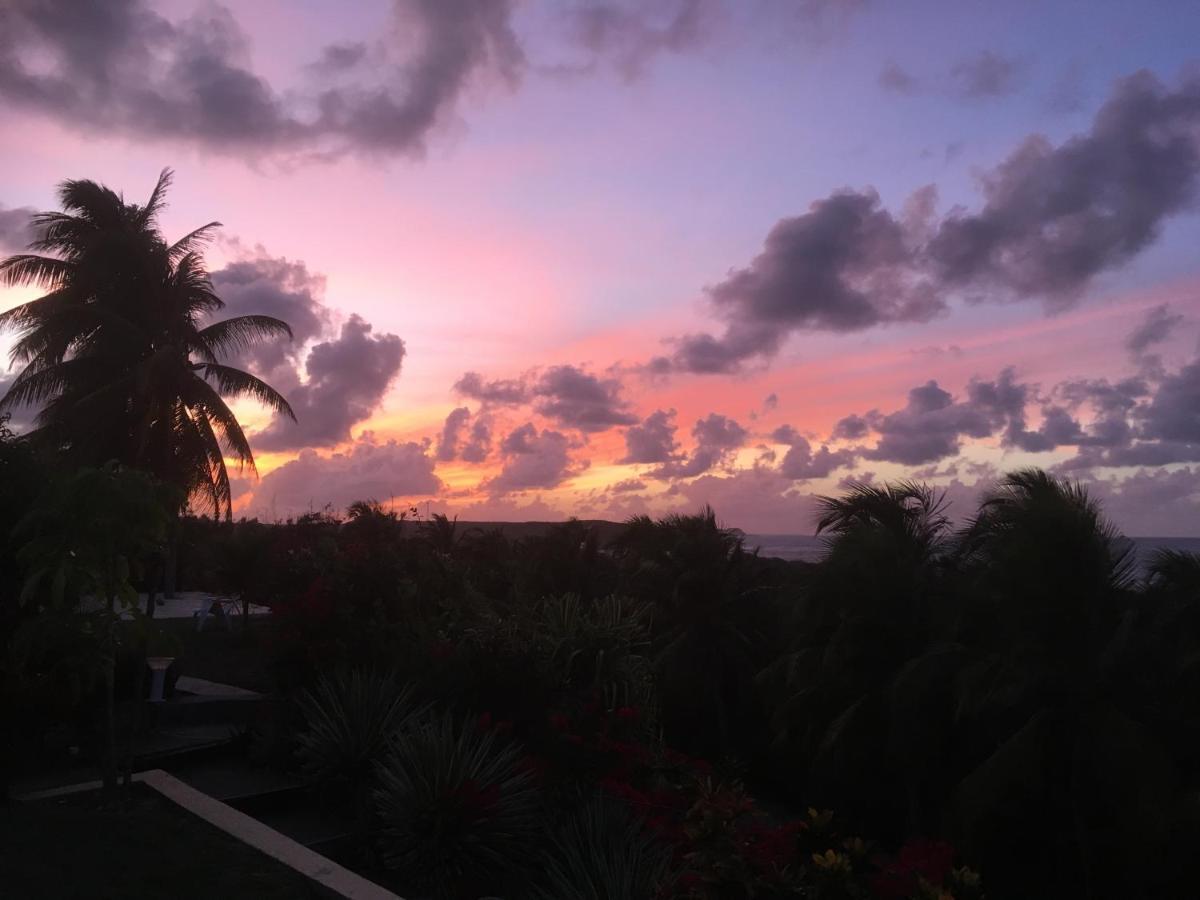 Villa Guadeloupe Saint Francois Acces Mer Piscine Iguana Bay - Villa Zagadi Ngoại thất bức ảnh